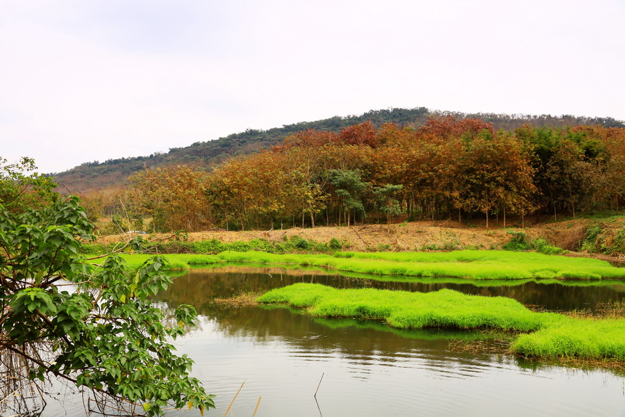 湖光山色