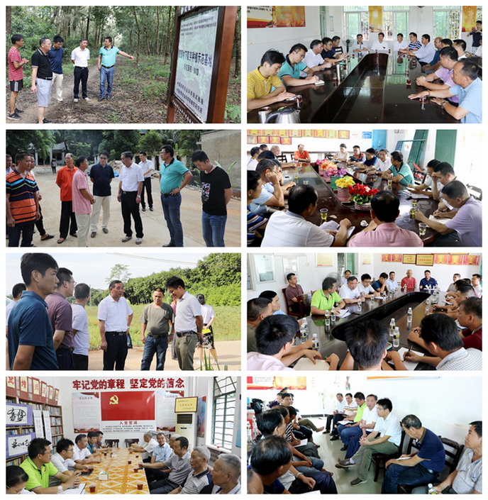e708d1588fa3cd31.jpg
