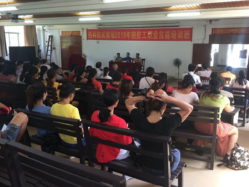 微信图片_20190815145733_副本.jpg