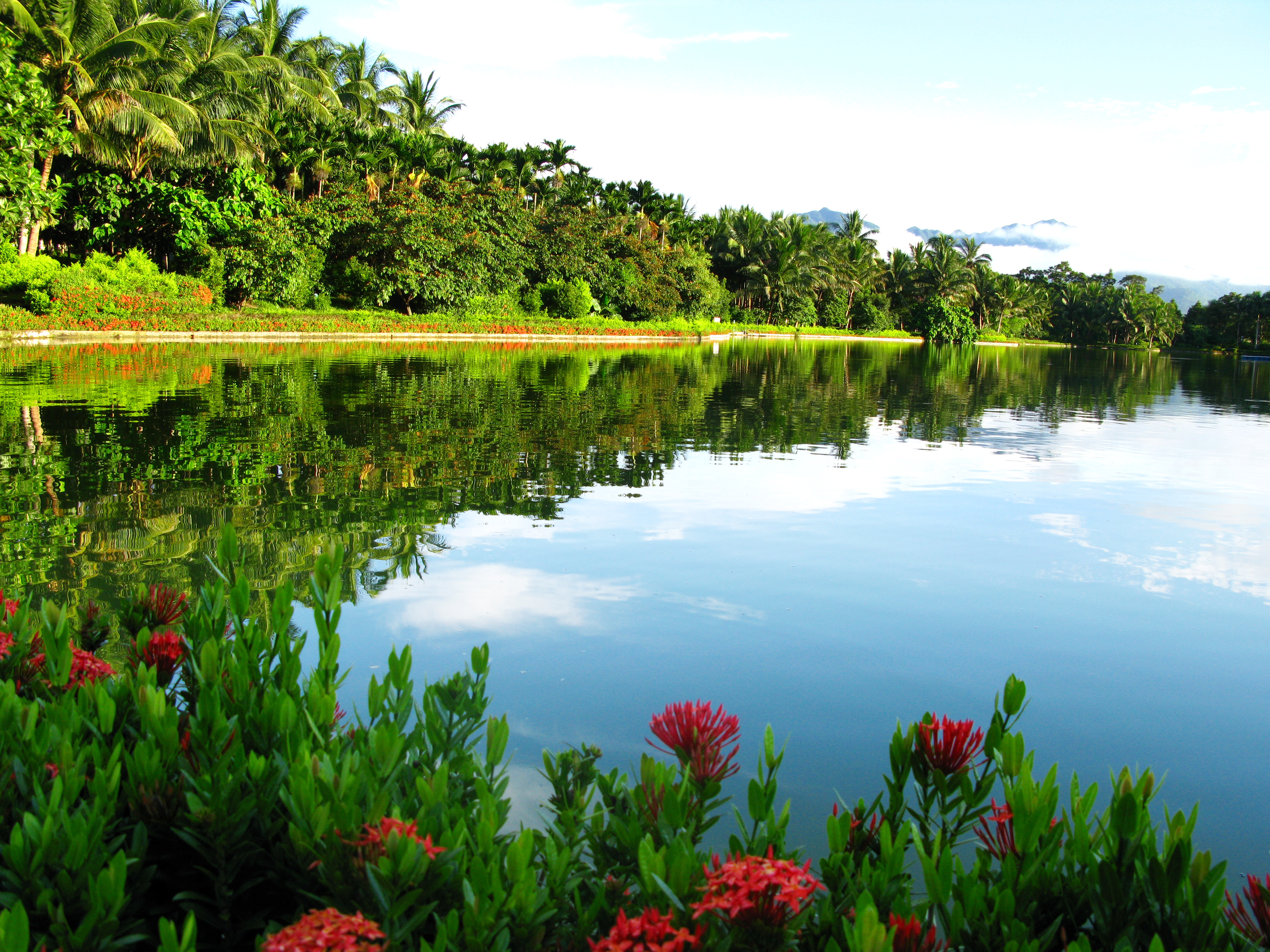 兴隆热带植物园风光