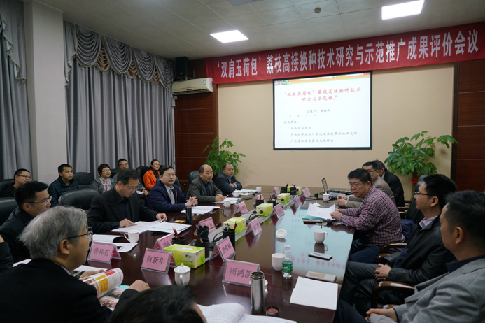 DSC09274-2018.1.27华农大南亚所荔枝高接换种提质增效技术成果评价会场.jpg