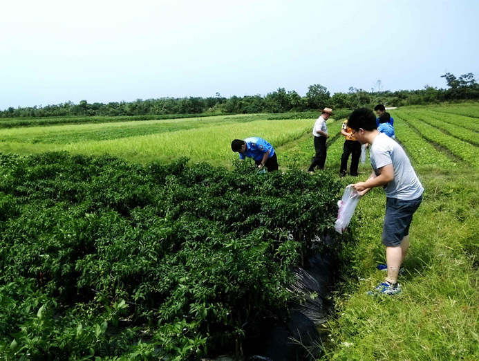 到农田里进行抽样检测.jpg