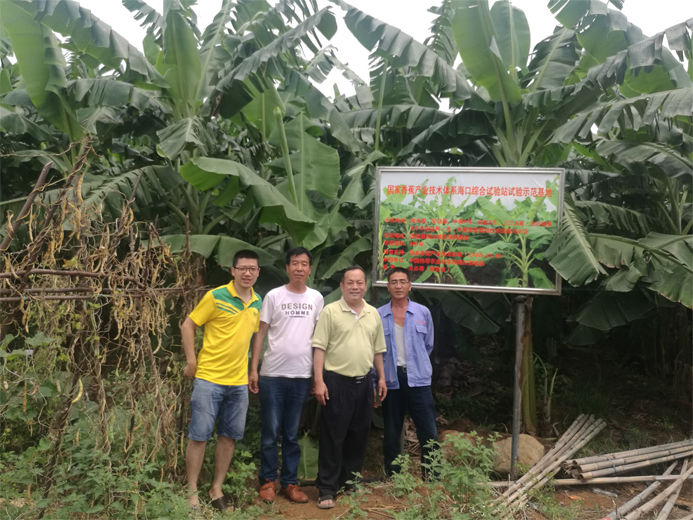 1在福山基地指导香蕉种植副本.jpg