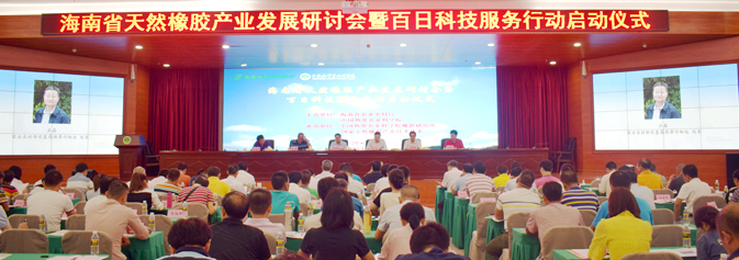 会议现场.jpg