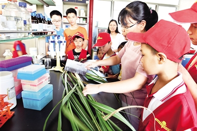 http://ngdsb.hinews.cn/resfile/2019-05-22/012/4404191_ngdsbtp_1558444109746_b.jpg