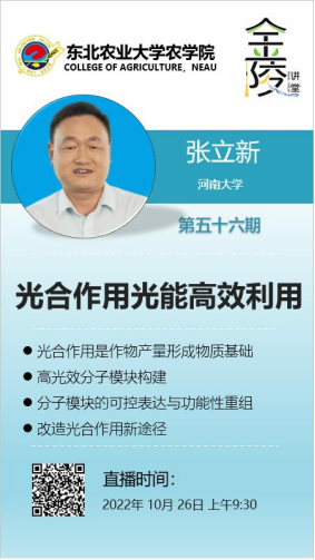 10.26东北.png