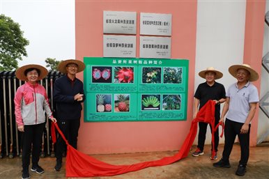 小孩们站在一起&#xA;&#xA;低可信度描述已自动生成