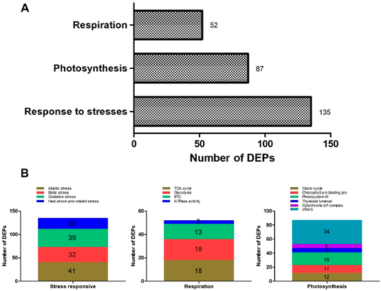 https://www.mdpi.com/ijms/ijms-23-14926/article_deploy/html/images/ijms-23-14926-g009.png