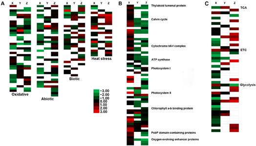 https://www.mdpi.com/ijms/ijms-23-14926/article_deploy/html/images/ijms-23-14926-g010.png