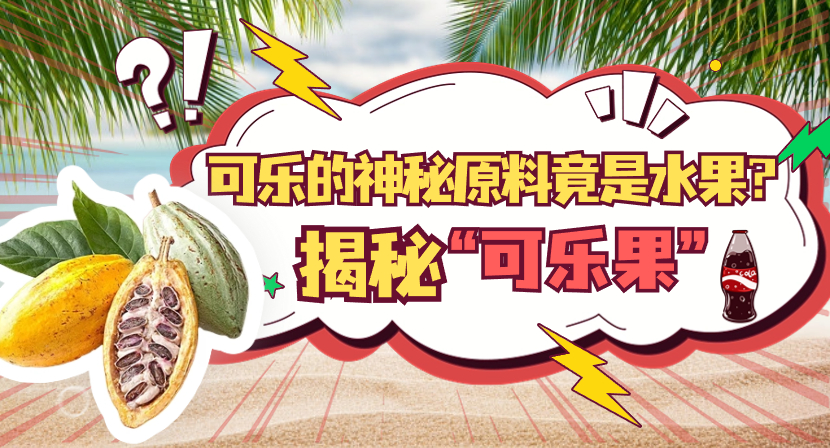【热作科普】可乐的神秘原料竟是水果？揭秘“可乐果”