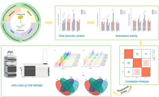 D: 学生培养资料程明    海南大学程明 论文1   菠萝蜜多酚提取鉴定LWTGraphical Abstracts.png