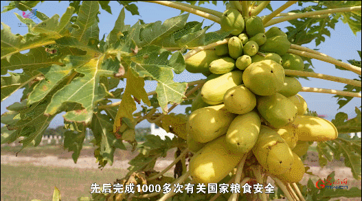 【追梦南繁】“守护者”贾瑞宗：筑牢“南繁硅谷”生物安全屏障