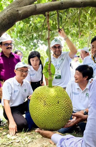 调研参观孟加拉国农业研究所菠萝蜜种质资源圃.jpg