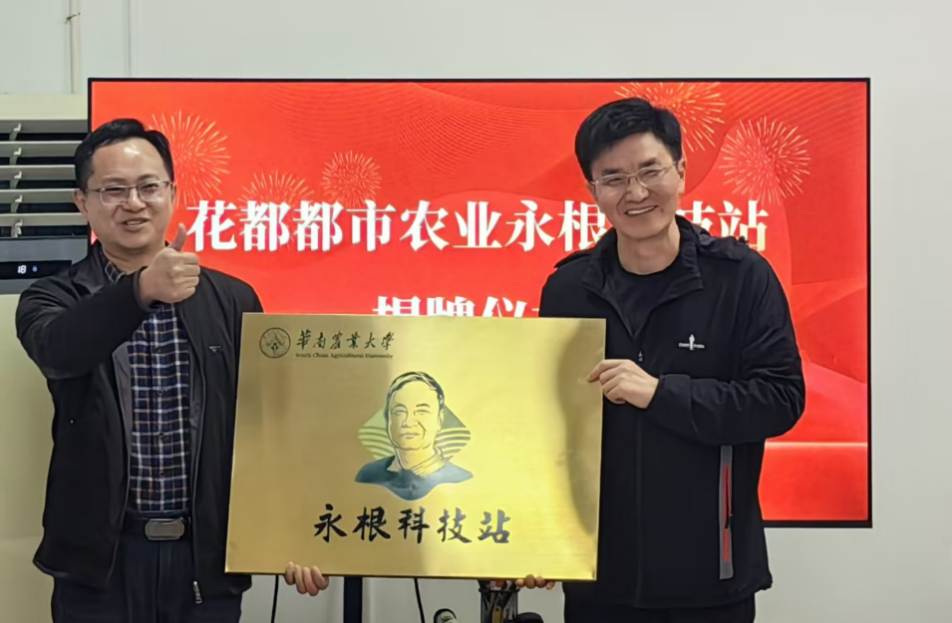 图片 2