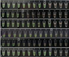 C:UsersadminDesktop屏幕截图 2022-08-01 230521.png