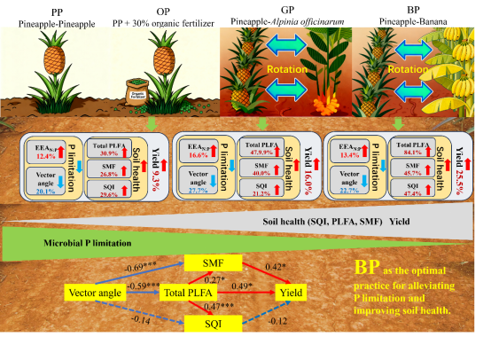 wps3